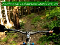 Northwoods Lackawanna State Park, PA