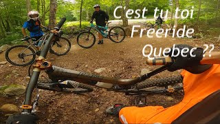 Qu'est-ce qu'on ferait pas pour donner un show...