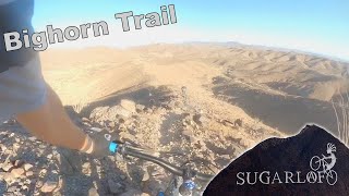 Yuma MTB - Bighorn Trail @ Sugarloaf