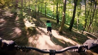 5yo riding DH trail on Early Rider Hellion 20'
