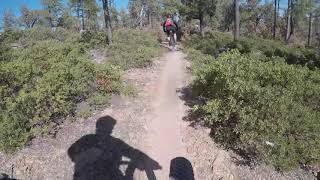 Roughneck -- Vintage Single Track in the Buena...