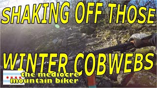 Clearing Out Those Winter Cobwebs - Palos...