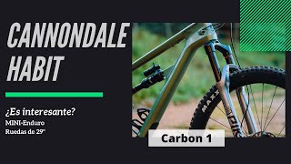 MINI-ENDURO + RUEDAS 29' para Bicis Enduro.