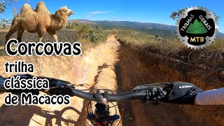 Corcovas, Clássica Trilha de Macacos. Link do...