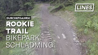Rookie Trail - Bikepark Schladming | LINES