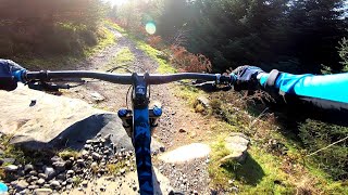 Ae for Alpha to Omega.  MTB at Ae Forest,...
