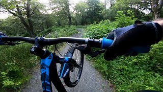 Strawberry Hill MTB red descent to Lews...