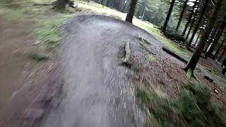Hahenklee Flowtrail