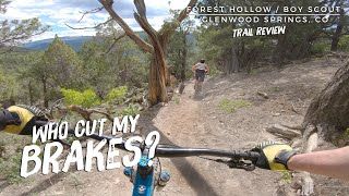 Forest Hollow and Boy Scout Loop Trail Review...