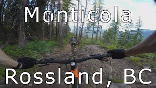Monticola - Rossland, BC