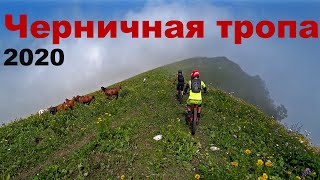 ТРЕЙЛЫ СОЧИ. Красная...