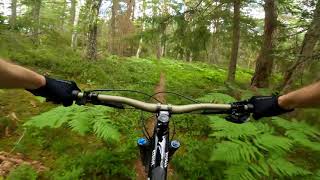 Flowy ride on Lemshagaberget outside...