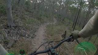 CCTV (West Bound) - Nerang National Park -...