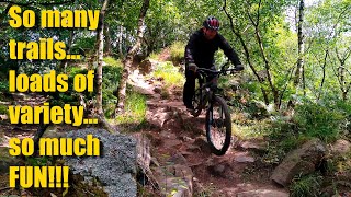 20th July 2020 - First visit to Wharncliffe Woods