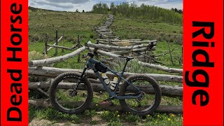 Summer Fat Biking on Dead Horse Ridge!