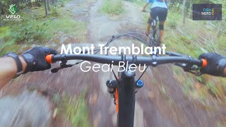 Mont Tremblant - Geai Bleu - July 2020 (4K60)