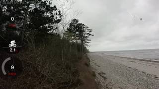Enebærodde