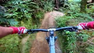New/Old Exit @ Whakarewarewa Redwoods Forest...