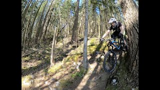 Bear Mountain Big Guns