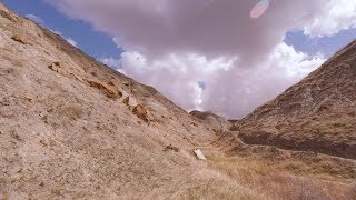 VIOLET TENDENCY, 2019. Clumsy. (RAW RIDE)...