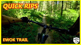 Ewok Trail RAW MTB POV | QUICK RIPS | Live Free MT