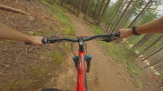Big Timber | MTB Top To Bottom | Whistler, BC