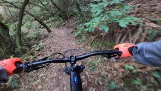 Manawatu Gorge Trail (Intermediate option)