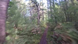North Country Trail: Freesoil Trailhead to Big M