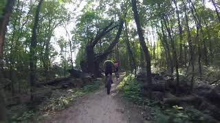 The Mountain Bike Impact