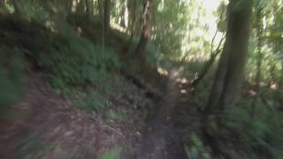 West Michigan Mountain Biking: Andrews University