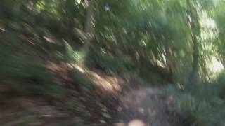 Michigan XC MTB Trail Preview: Andrews University