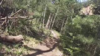 West Michigan Mountain Biking: Vasa Single Track