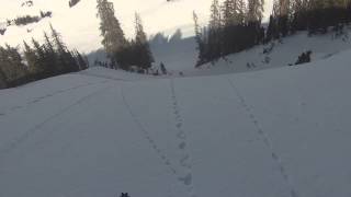 Powder Run with Park City Powder Cats