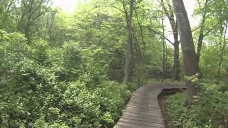 DINO MTB Race   Winona Lake: Cat 2 Open