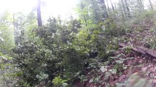 West Michigan Mountain Bike Trails: Arcadia Dunes