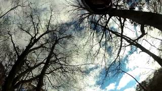Mountain Bike Crash Clips: Upper Mac Tree Incident