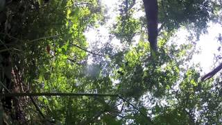Mountain Bike Crash Clips - Winona Lake...