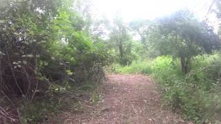 West Michigan Mountain Biking - Wahlfield Park