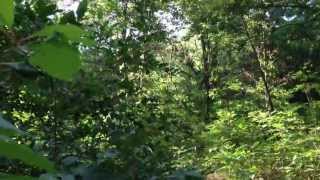 Awesome Trail Surprise - Yankee Springs...