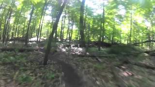 West Michigan Mountain Biking - Luton Park