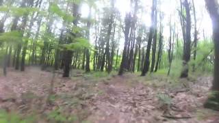 Over the Hills and Through The Woods : A...