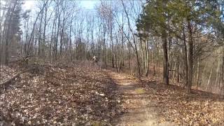 West Michigan Mountain Biking - Yankee Springs...