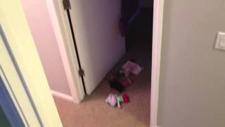 Hide & Seek Scream