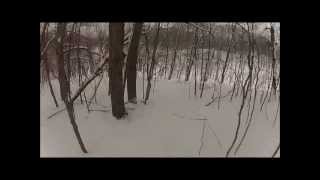 Caberfae Back Country