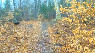 Riley Trails Forest Restoration Progress via...