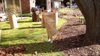 Fall Yard Work 2012