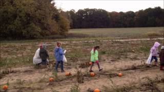 Pumkin Patch with Music.wmv