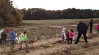 Pumkin Patch