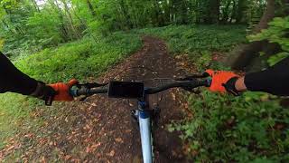 Reigate Hill MTB Trails