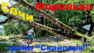 ТРЕЙЛЫ СОЧИ. Форелька....